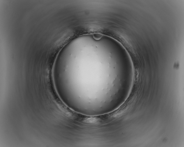 X0000091340269200708171417