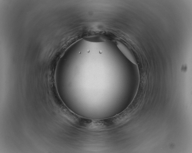 X0000091340270200708171417