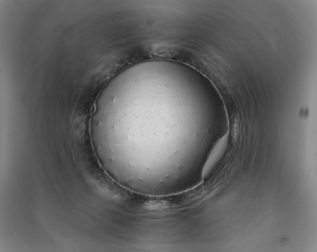 X0000091340271200708171417