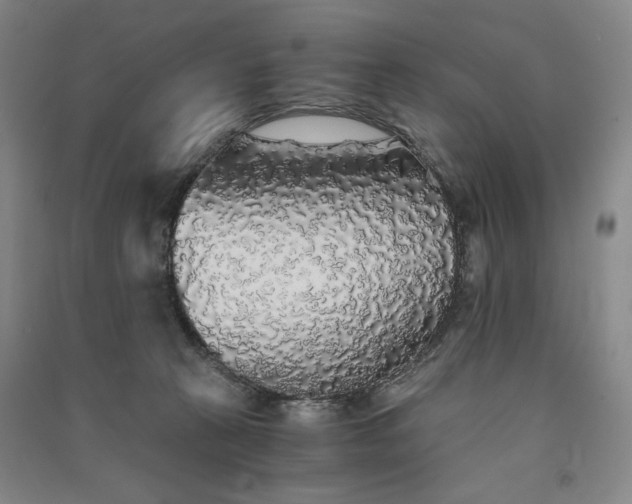 X0000091340273200708171417