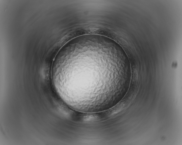 X0000091340274200708171417