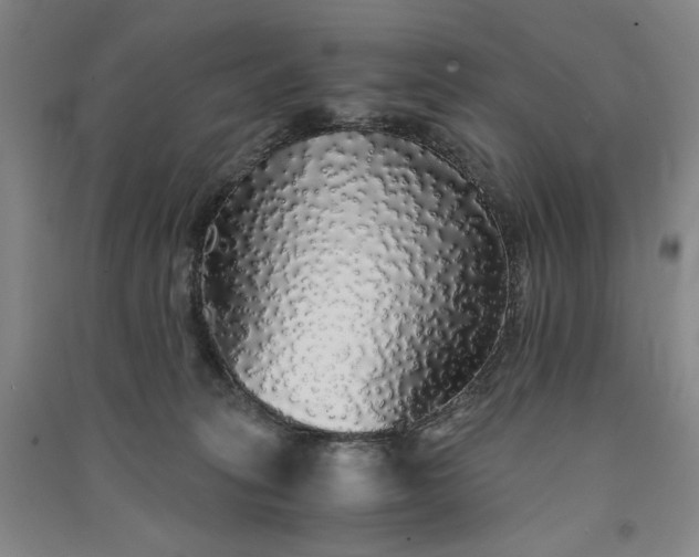 X0000091340275200708171417