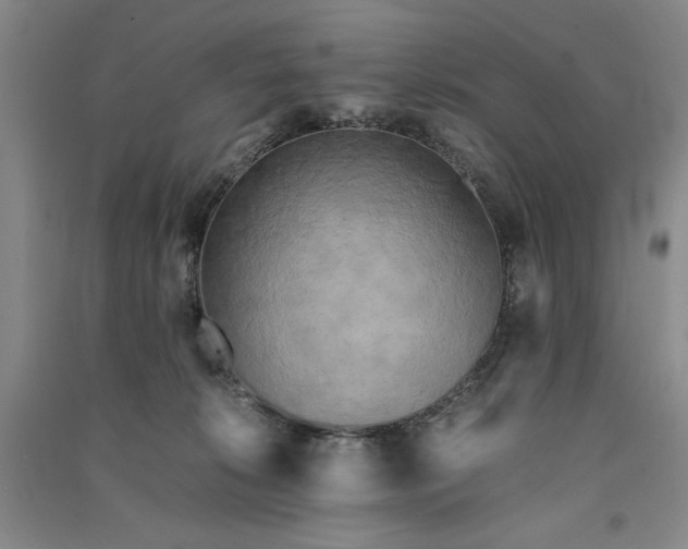 X0000091340276200708171417