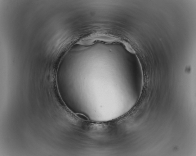 X0000091340277200708171417