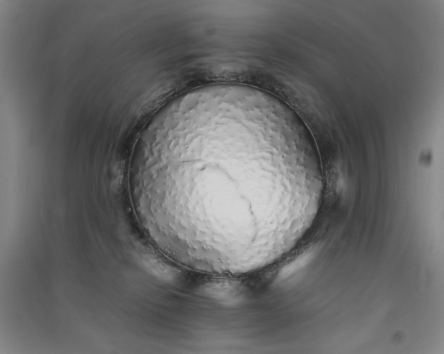 X0000091340278200708171417