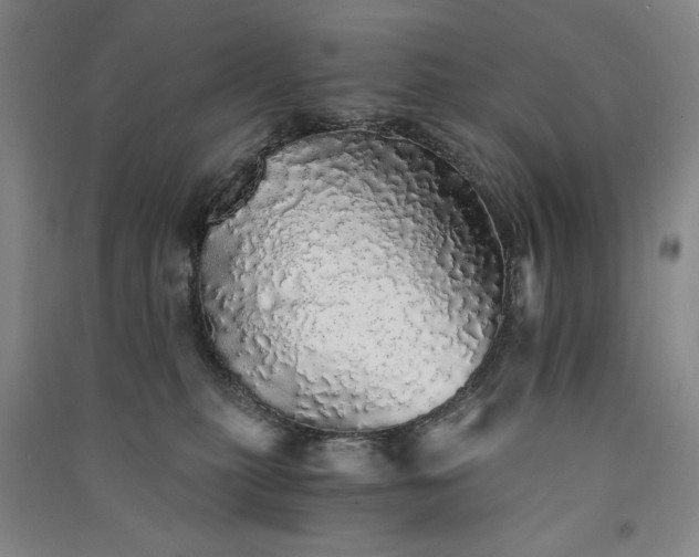 X0000091340279200708171417