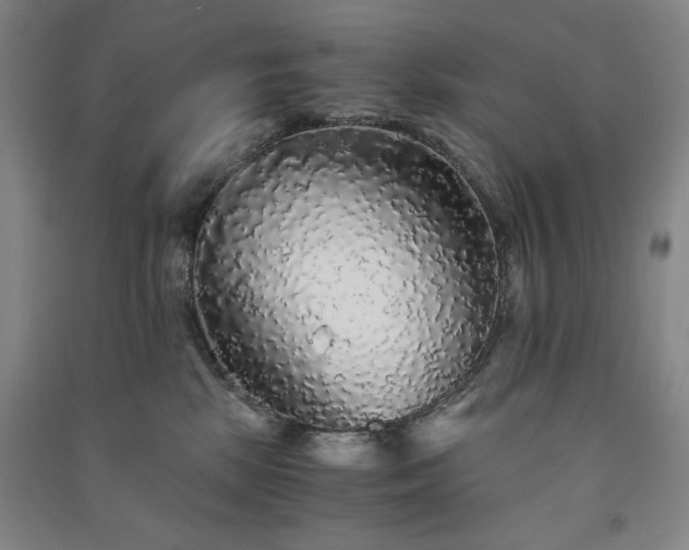 X0000091340281200708171417