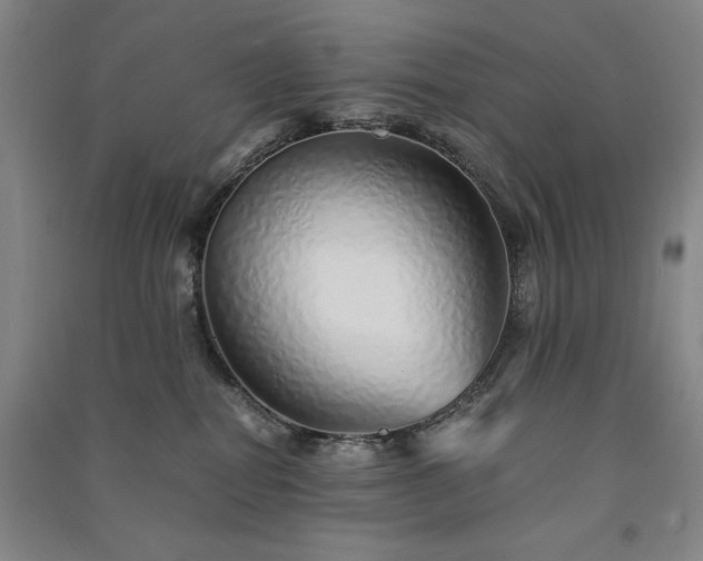 X0000091340282200708171417