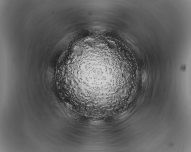 X0000091340283200708171417