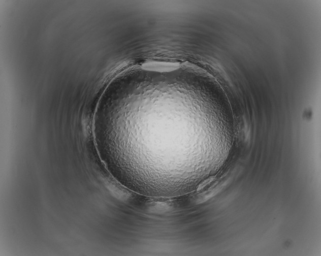 X0000091340285200708171417