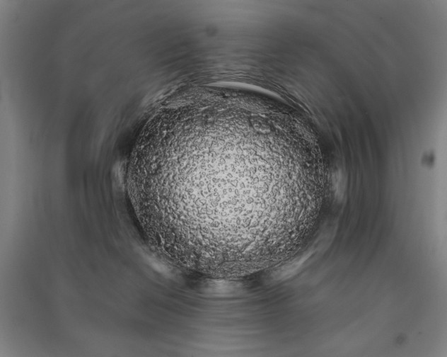 X0000091340286200708171417