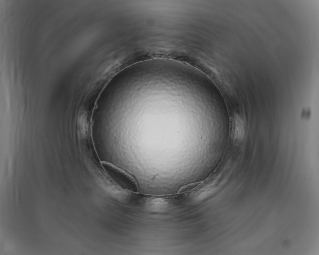 X0000091340287200708171417