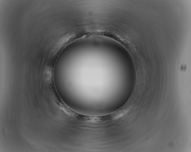 X0000091340288200708171417