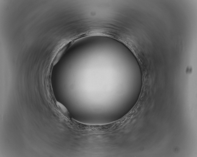 X0000091340289200708171416