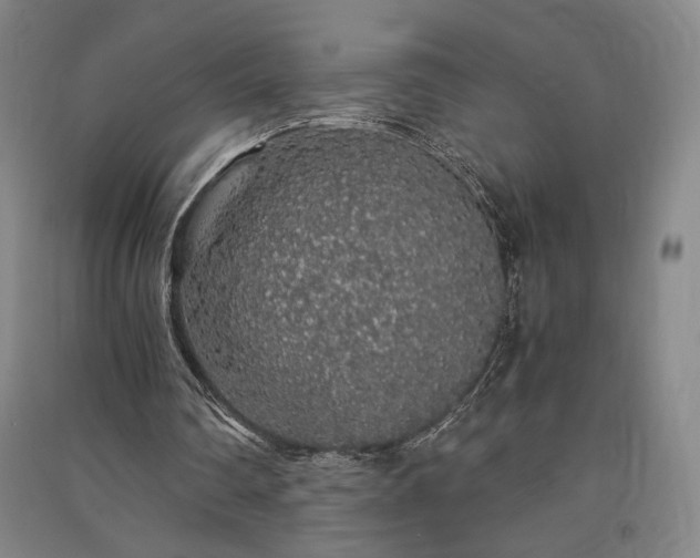 X0000091340290200708171416