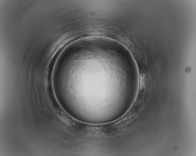 X0000091340291200708171416