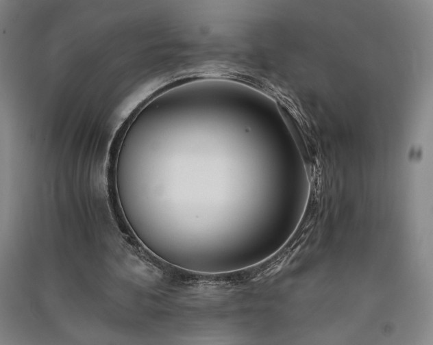 X0000091340292200708171416