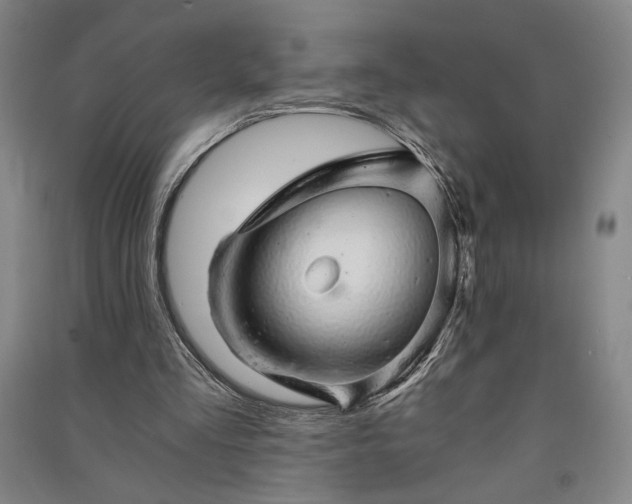 X0000091340293200708171416