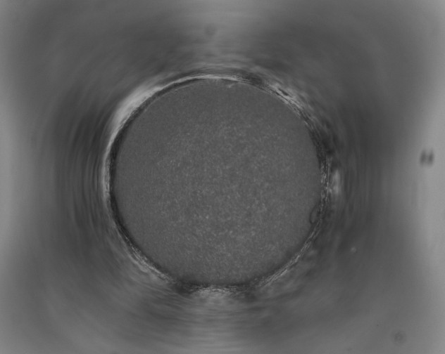 X0000091340294200708171416