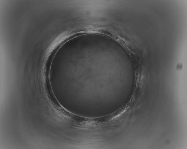 X0000091340295200708171416