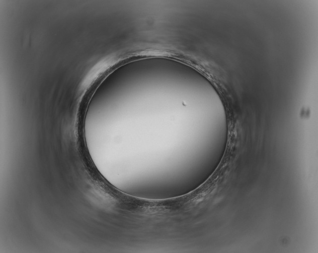 X0000091340296200708171416