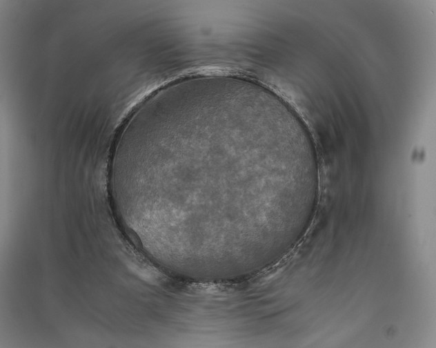 X0000091340297200708171416