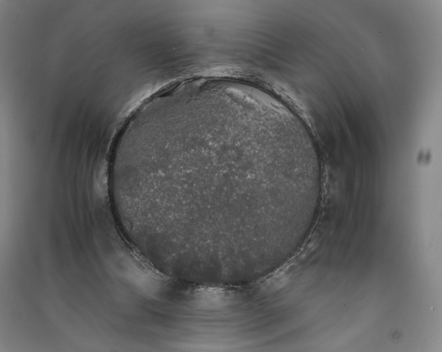 X0000091340298200708171416