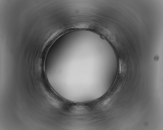 X0000091340300200708171416