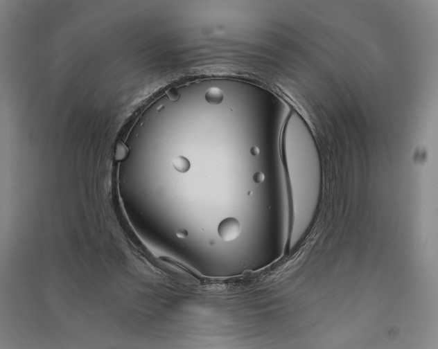 X0000091340301200708171416