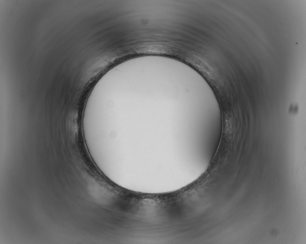 X0000091340302200708171416