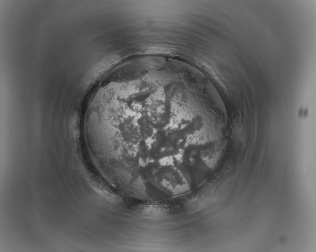 X0000091340303200708171416