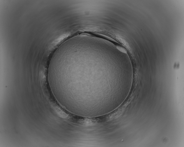 X0000091340305200708171416