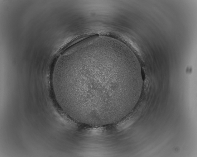 X0000091340306200708171416