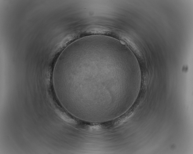 X0000091340309200708171416