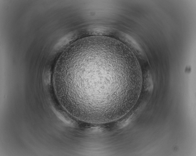 X0000091340310200708171416