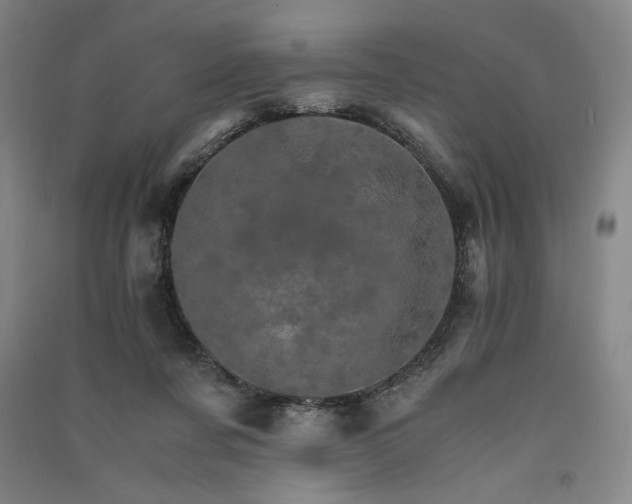 X0000091340311200708171416