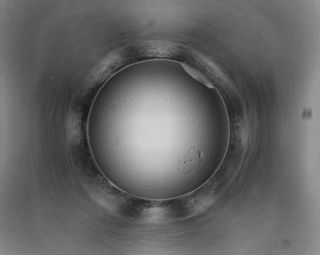 X0000091340312200708171416