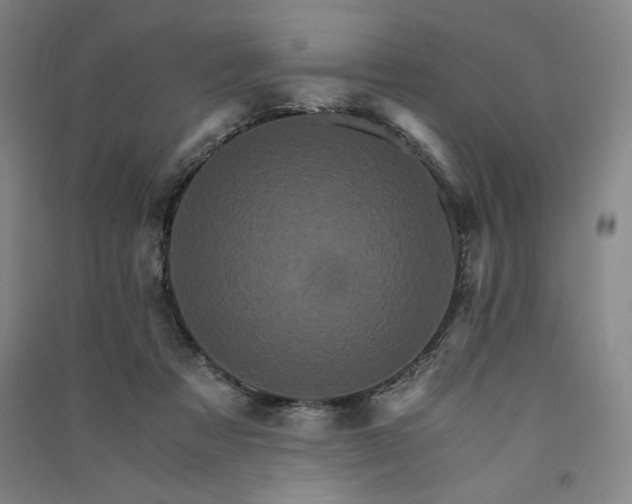 X0000091340313200708171416