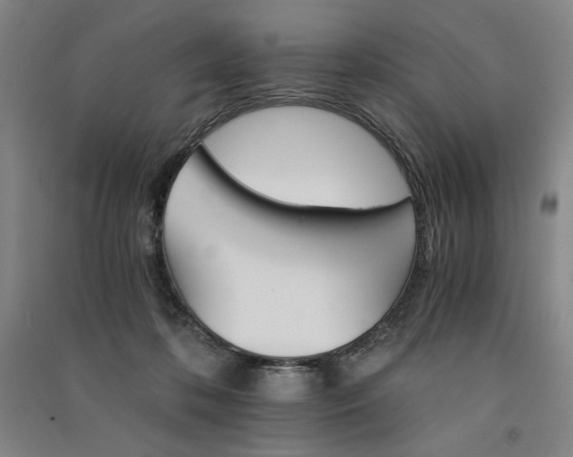 X0000091340316200708171416