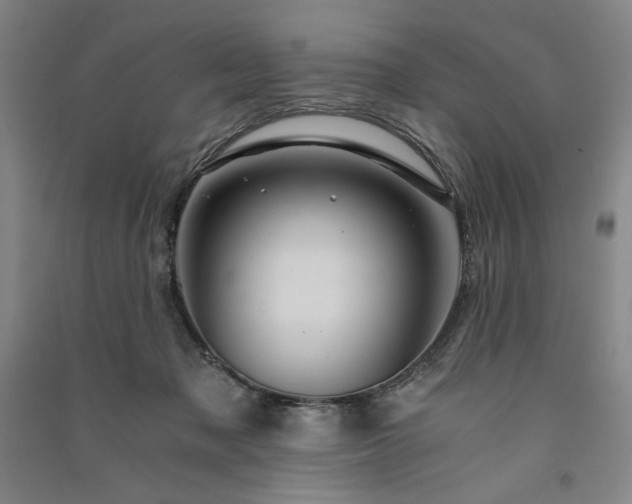 X0000091340317200708171416