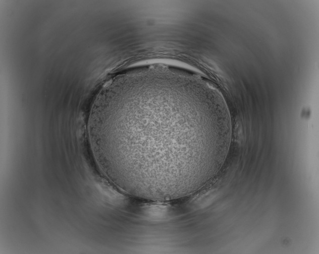 X0000091340318200708171416