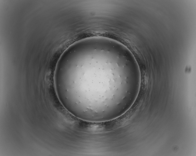 X0000091340319200708171416