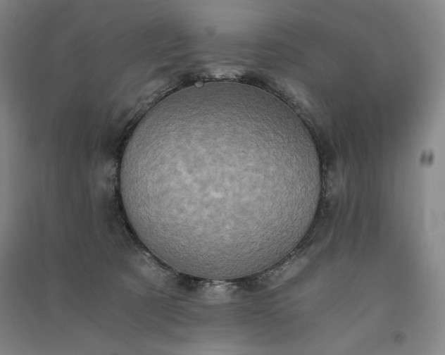 X0000091340321200708171416