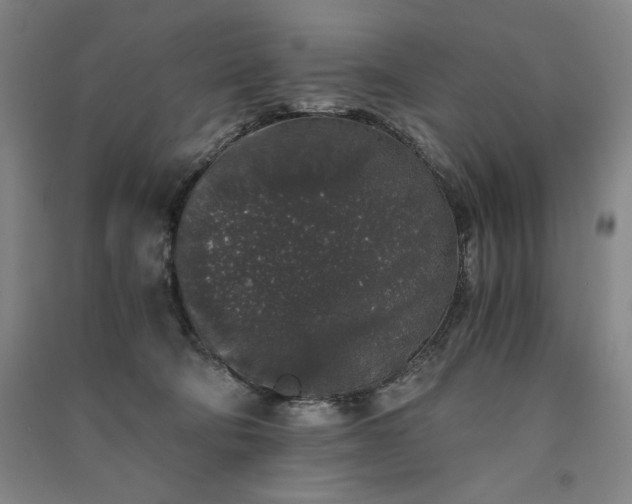 X0000091340322200708171416