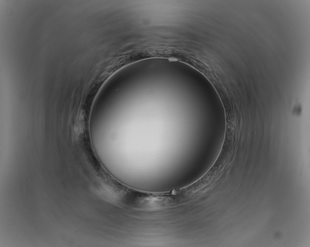 X0000091340323200708171416