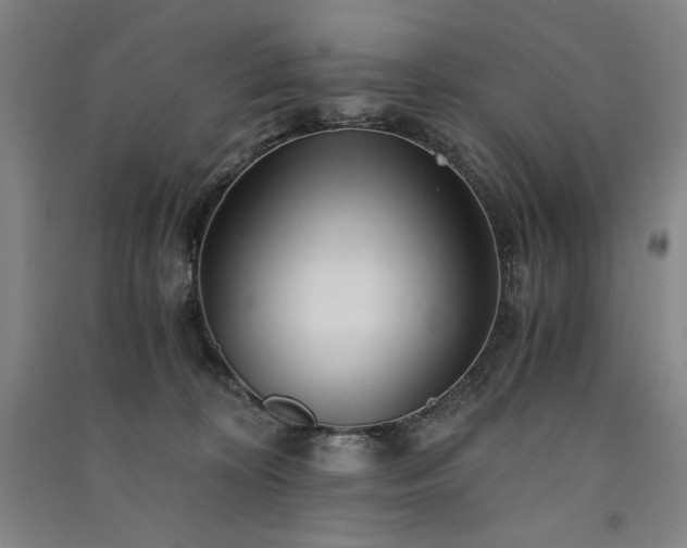 X0000091340324200708171416