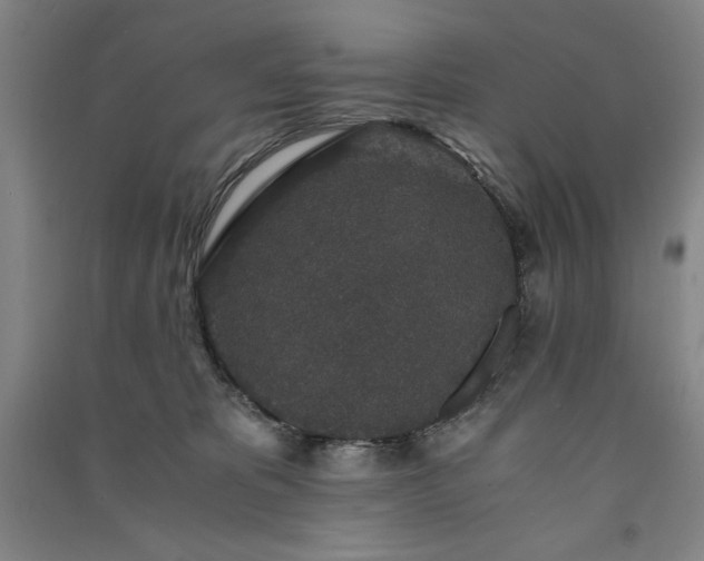 X0000091340325200708171416