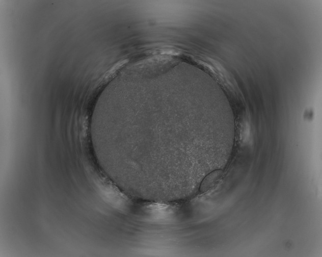 X0000091340326200708171416