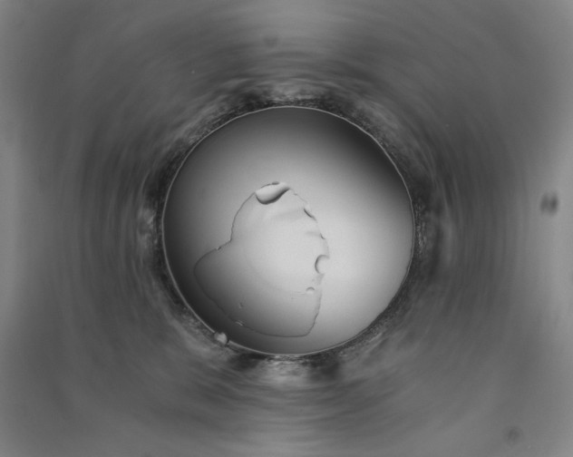 X0000091340327200708171416