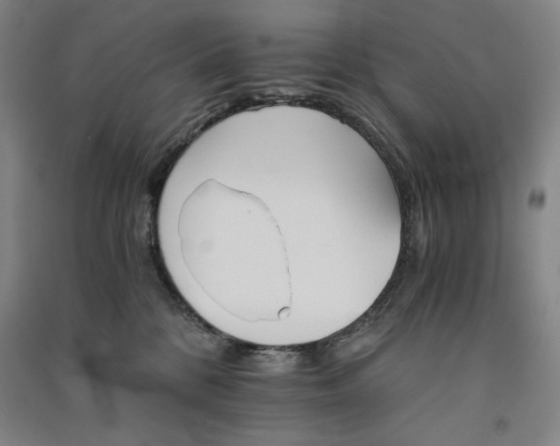 X0000091340328200708171416